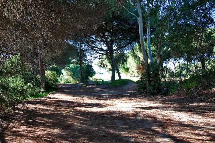 Wanderweg Quinta de Lago Golfplatz
